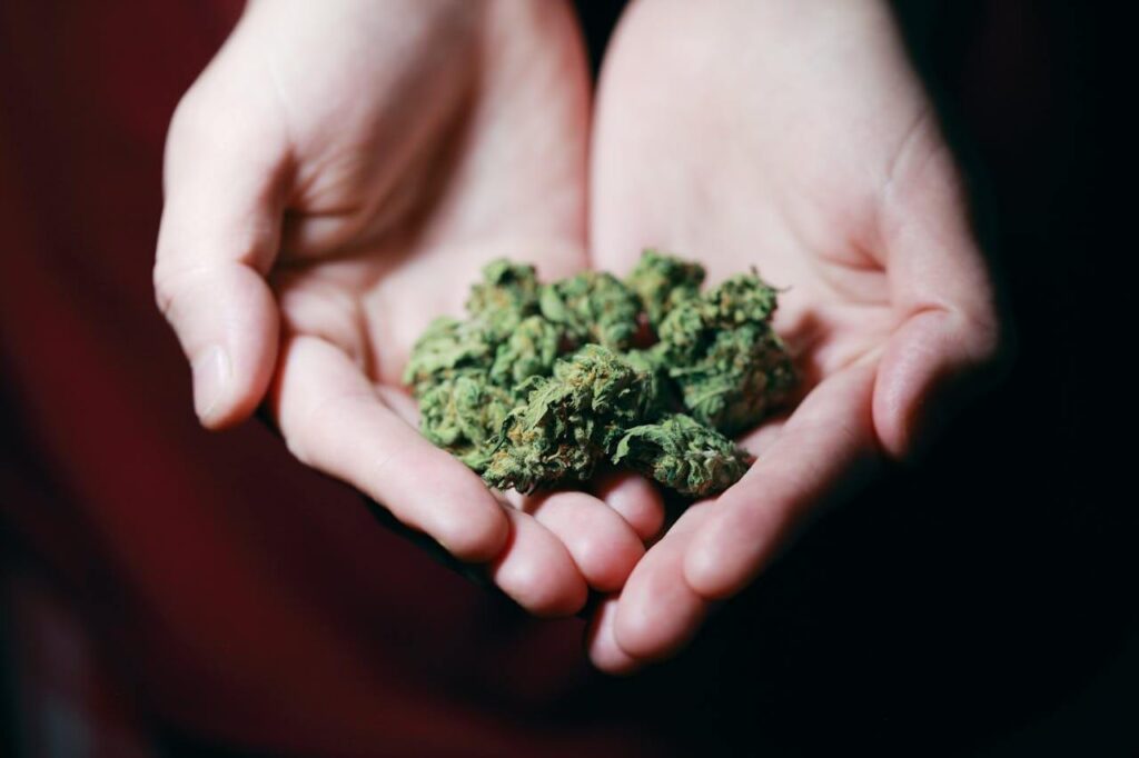 HHX legalidad en España