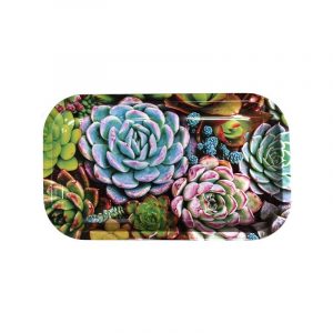 Bandeja de Metal Suculentas 27 × 16 cm
